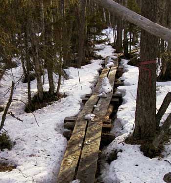 &Ouml;jen 3/2003