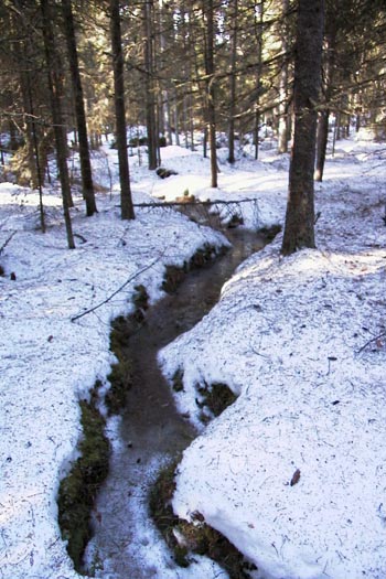 Puro &Ouml;jeinss&auml; 3/2003
